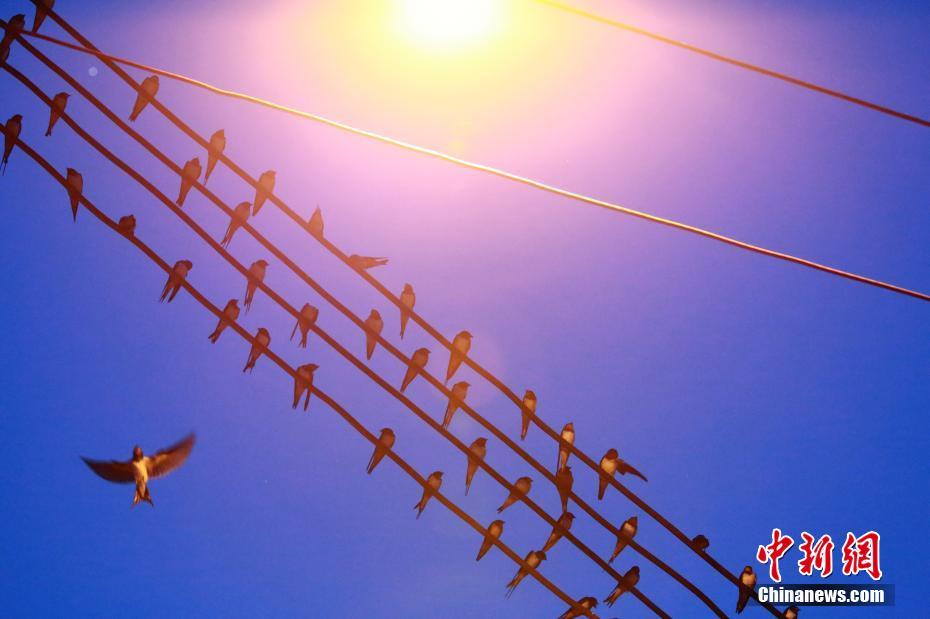 呕吐=美团姑娘怎么约，美团骑手如何进行预约(2024-12-07 21-0) 示例图 - 说明文字