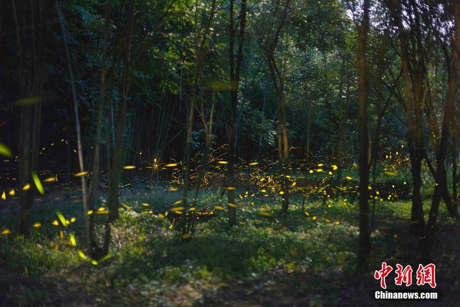 军情五处第四季全集免费在线观看-英国欧 示例图 - 说明文字