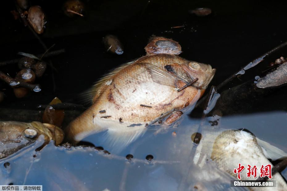 上位勾引h师生出轨兔子爱吃草新章节-上位勾引 示例图 - 说明文字