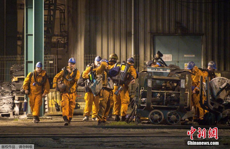 zoomservo兽-科技幻想未来生物 示例图 - 说明文字