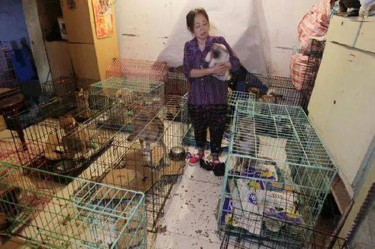 [ssis-899]山手梨惊艳演绎 仰天长啸美若天仙! 示例图 - 说明文字