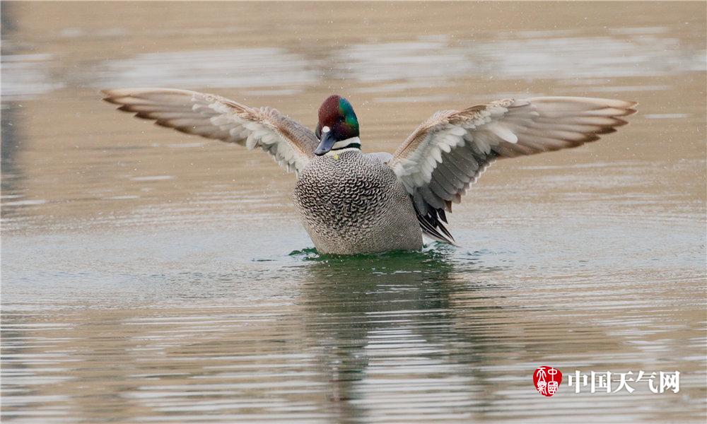 安全找到18游戏入口，避开常见问题和风险的指南 示例图 - 说明文字
